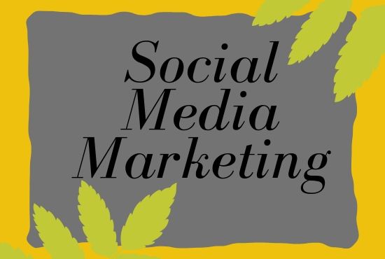3949Social Media Marketing