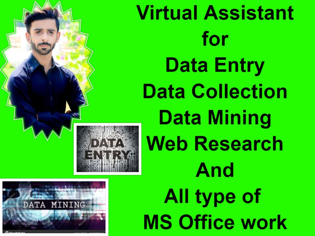 4133Data Entry, Data Scraping, Data Mining, Data Collection, Data Arranging.