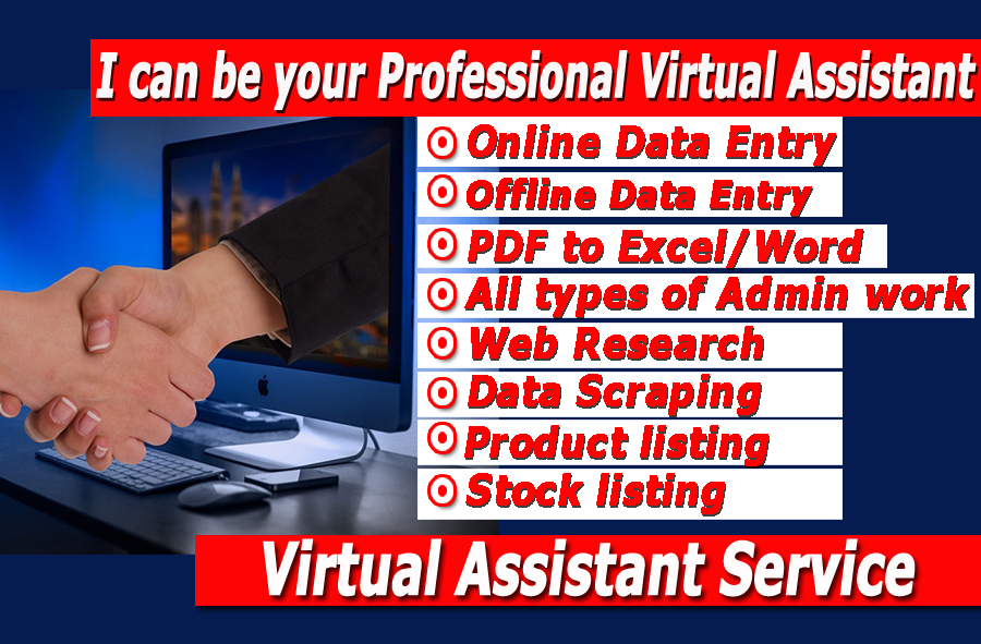 4930I will be your virtual assistant for Data entry work