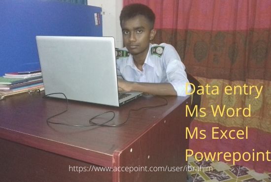 6321I will do professional data entry ms word, ms excel, powerpoint task for you