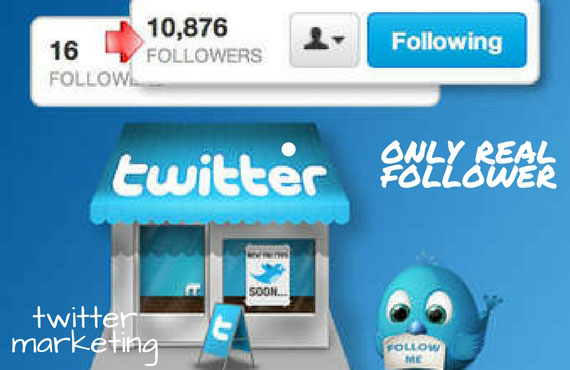 5991I will do twitter marketing and grow 500+ followers