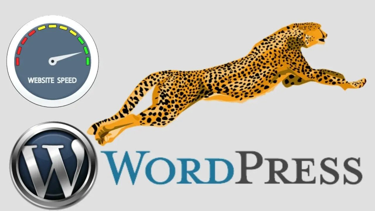 7774I will do WordPress Speed Optimization