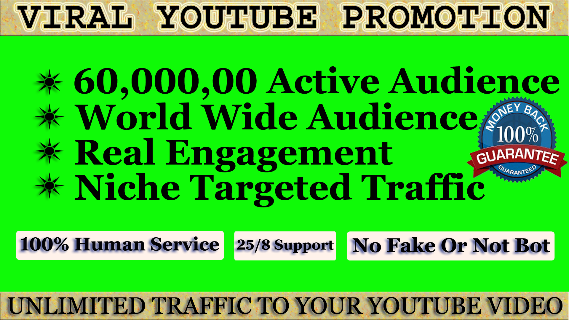 5159I will build organic YouTube views promotion