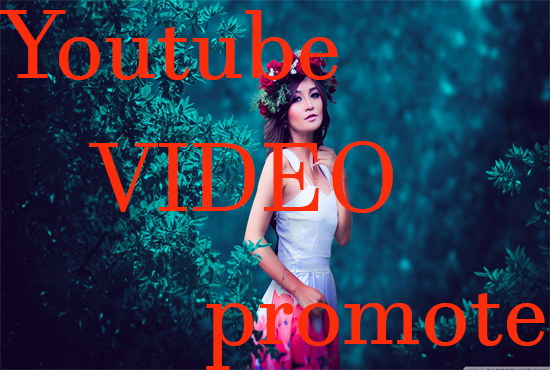8381I will do high quality youtube channel promote