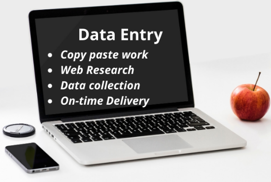 8503I will do data entry information gathering without errors