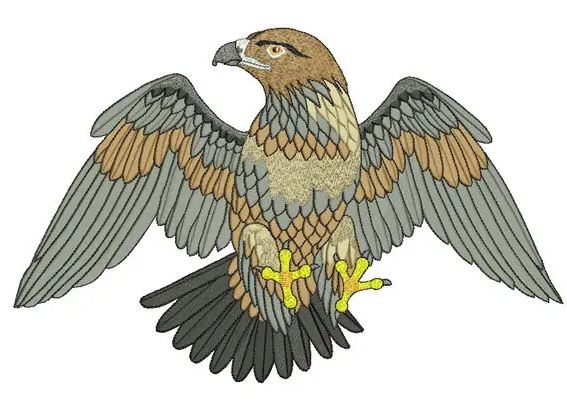 10177I make will beautiful digitizing design for you