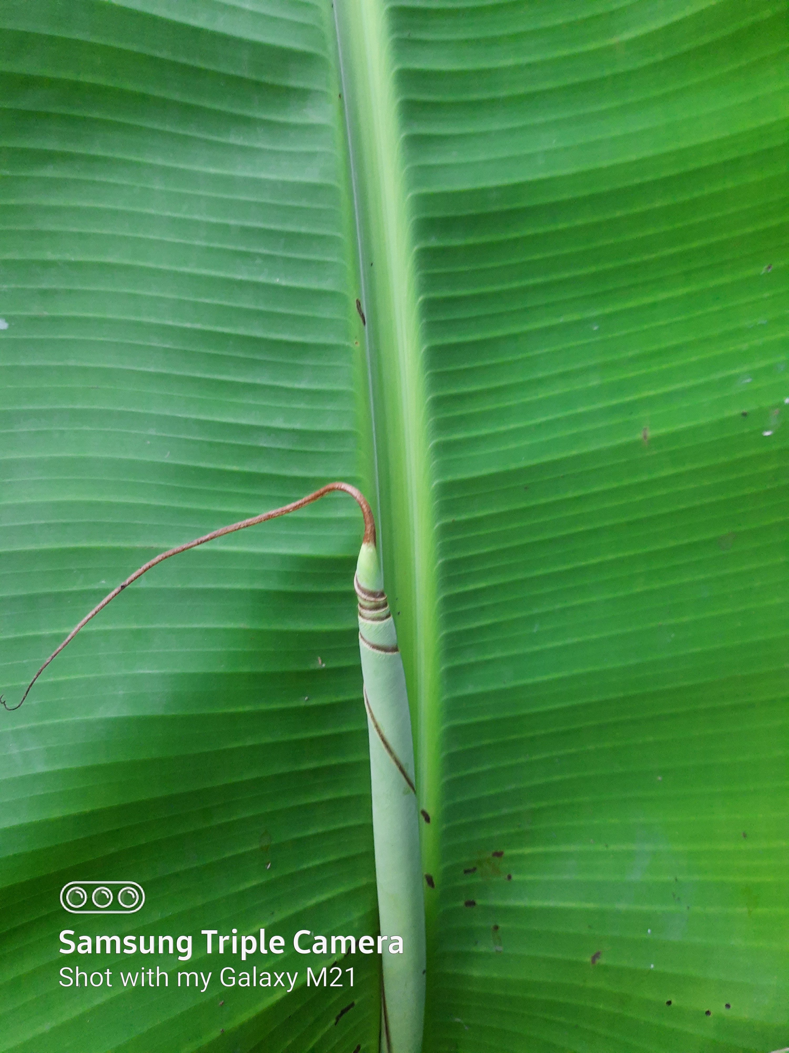 13889I will design minimalist logo, banner, poster, social media 
ads for you