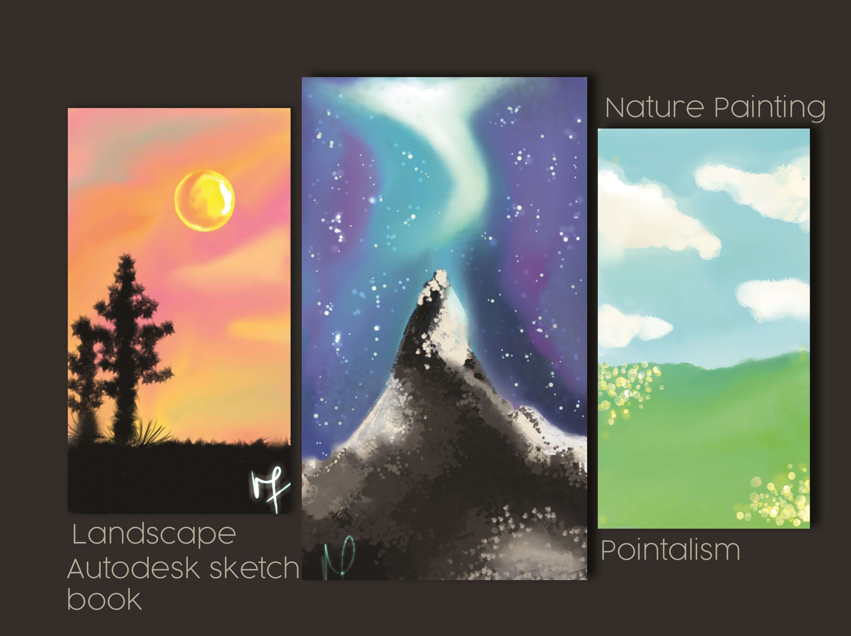 13149I would do Digital Painting