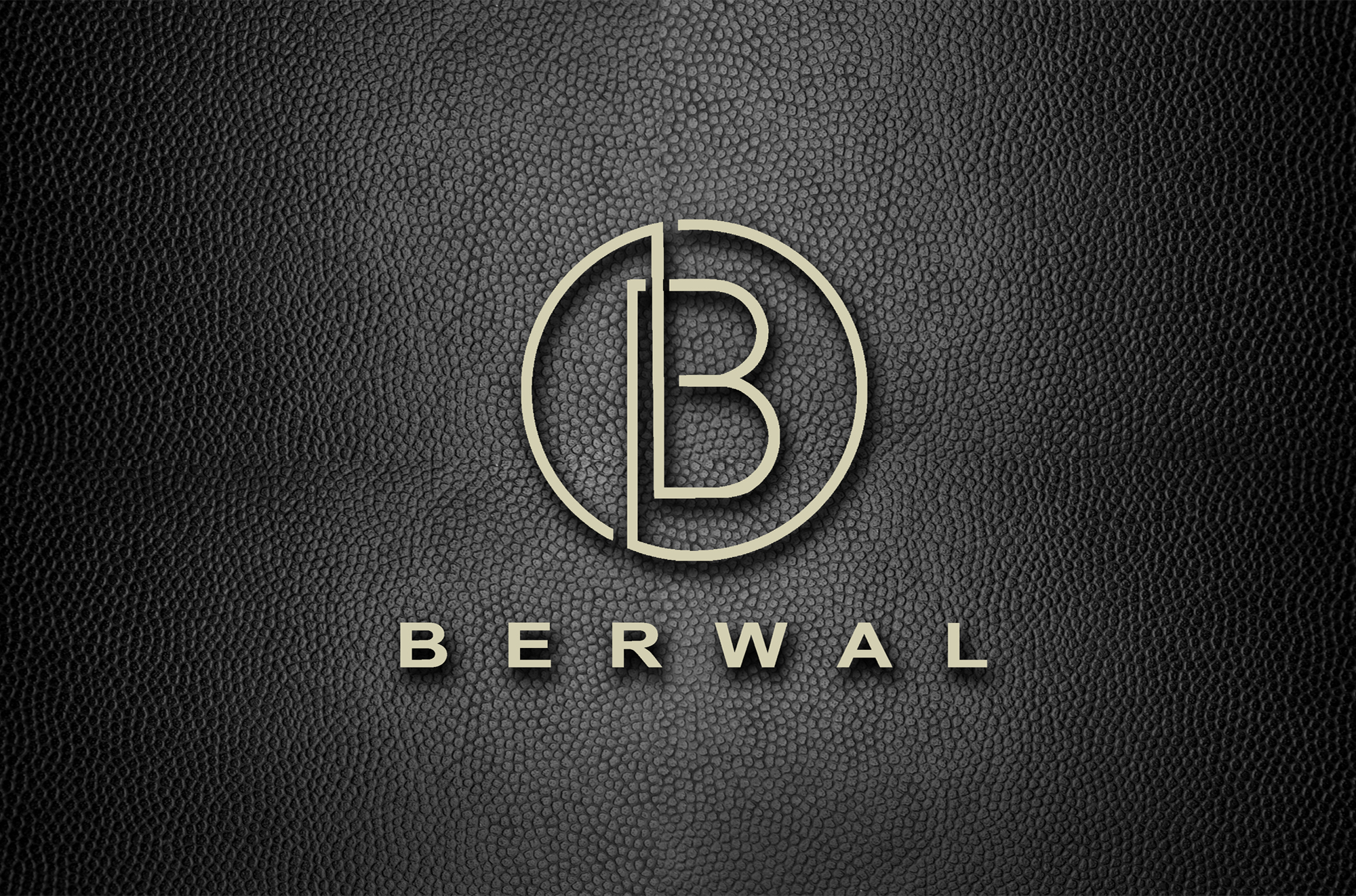 16014I will professionally design a minimal logo