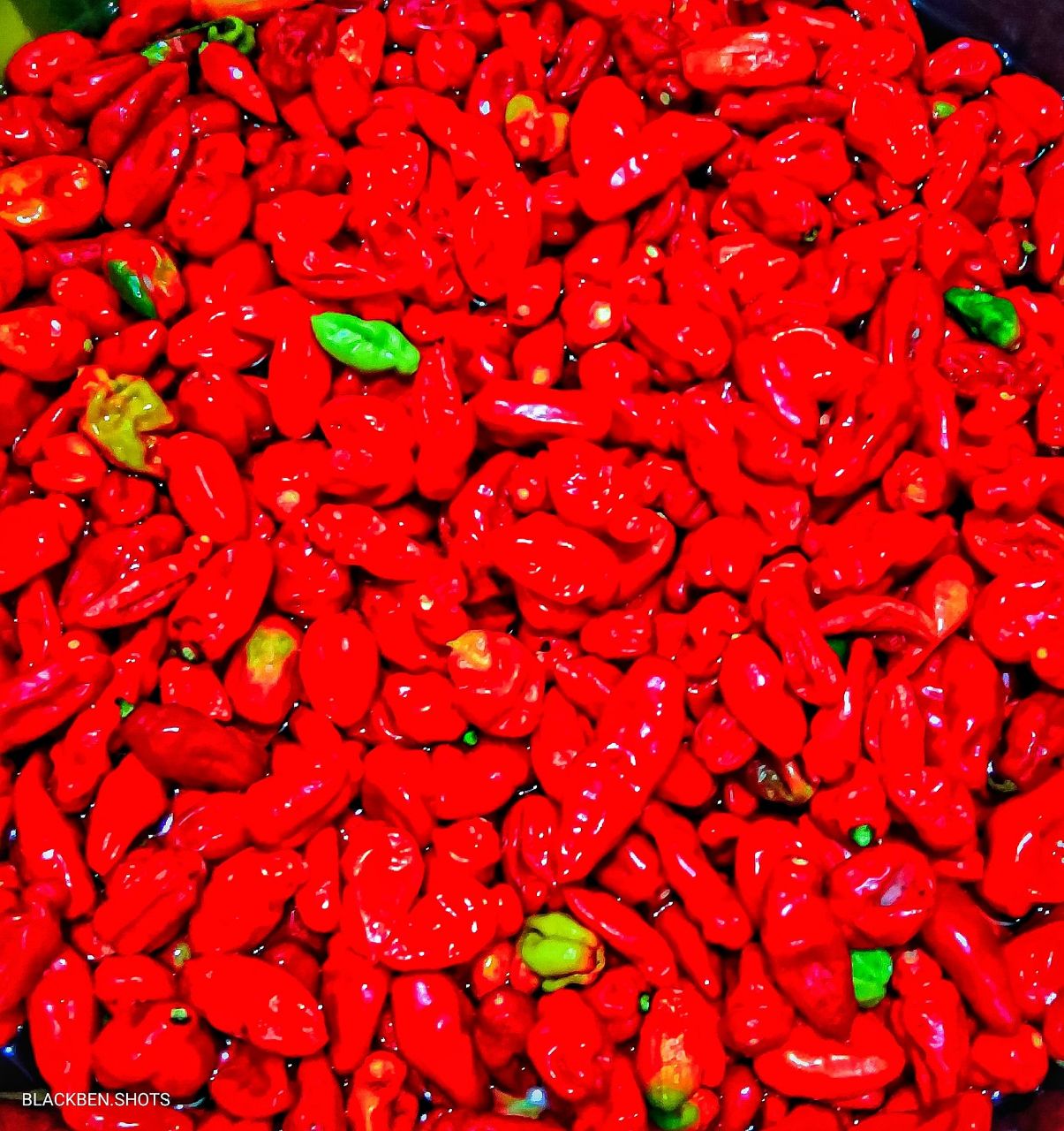 16359Shopify store customization