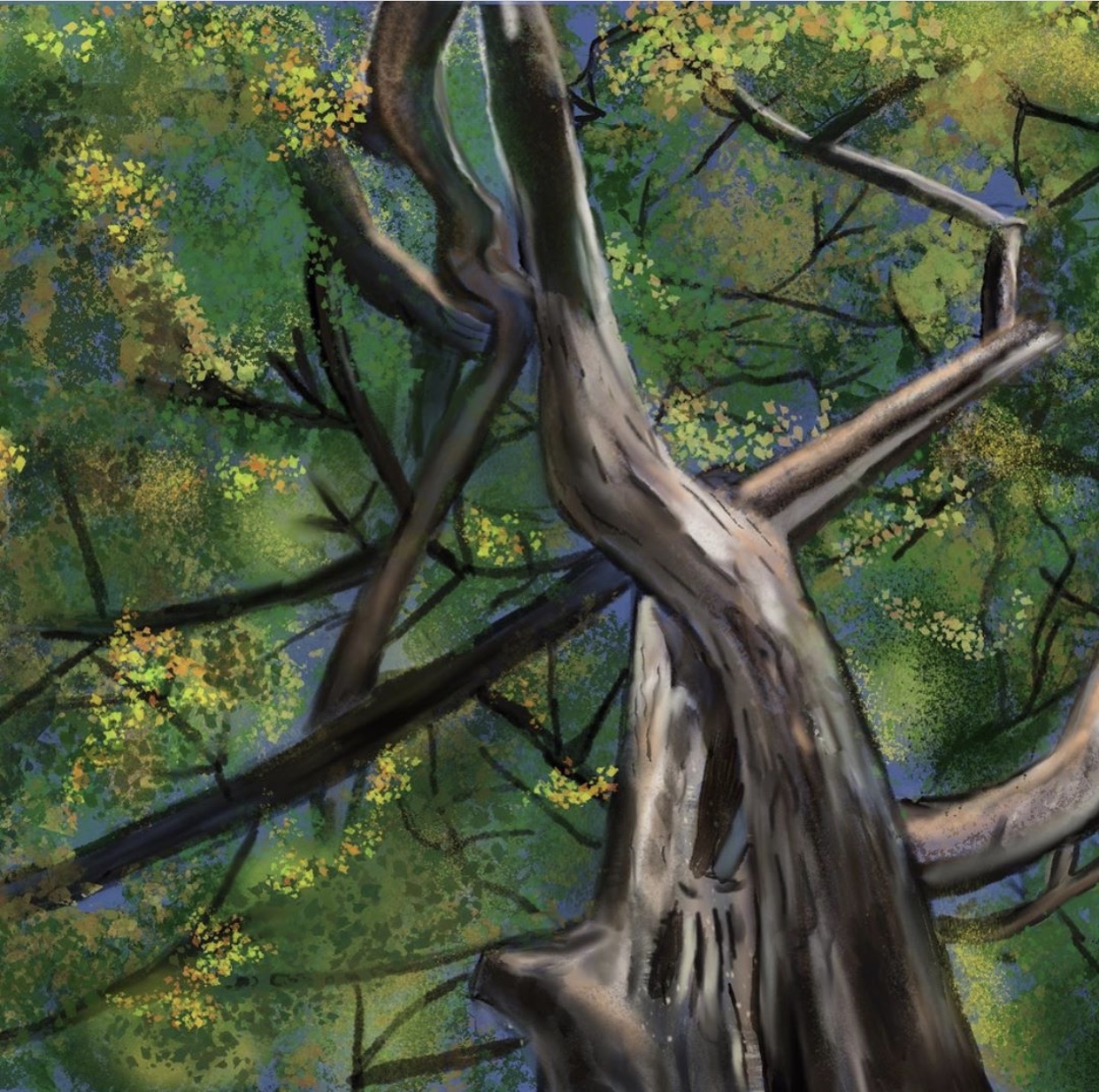 16549Design of presentations, brochures and invitations (in Spanish and English)